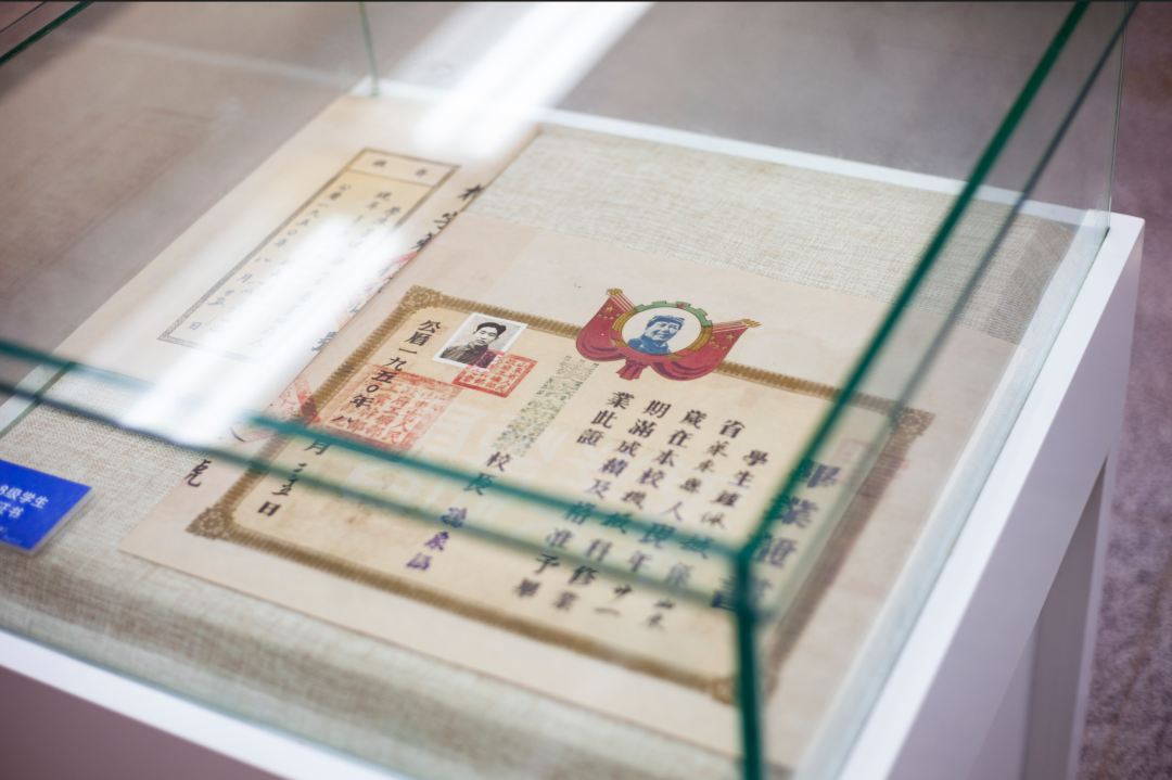 太阳城集团