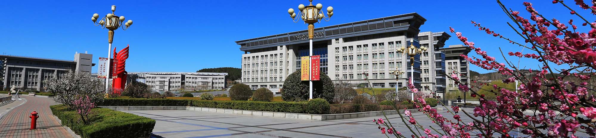 太阳城集团